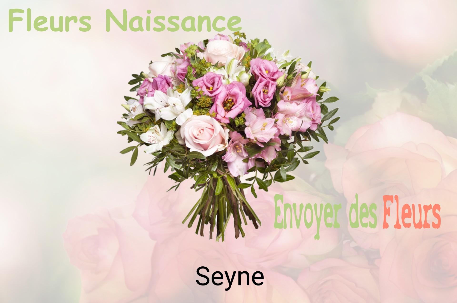 Bouquet de fleurs de naissance livré à Seyne